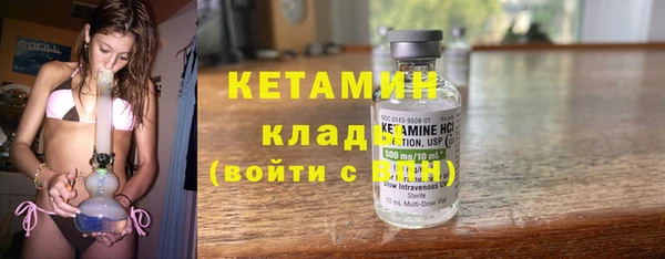 гашик Вяземский