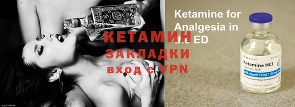 гашик Вяземский