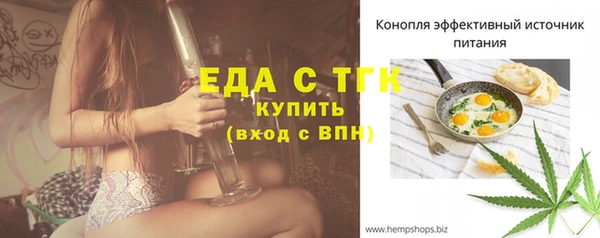 гашик Вяземский
