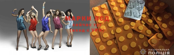spice Вязники